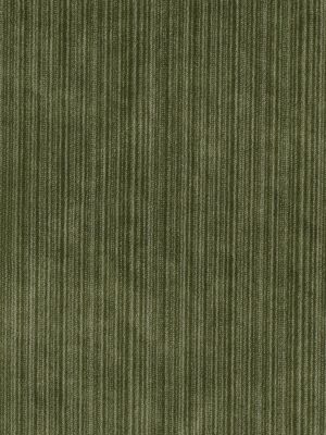 STRIE VELVET