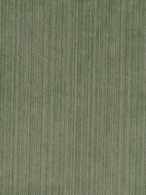 STRIE VELVET