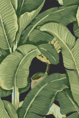 HINSON PALM