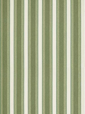 ARLO STRIPE