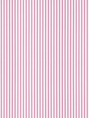 JOHNSON STRIPE