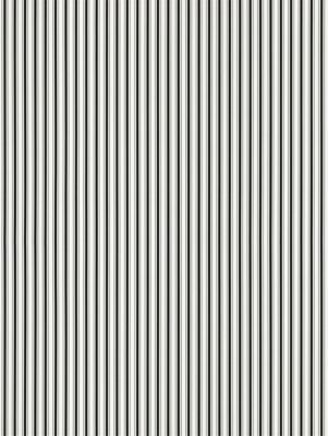 JOHNSON STRIPE