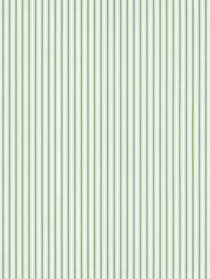 JOHNSON STRIPE