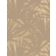 PANDANUS thumbnail