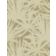 PANDANUS thumbnail