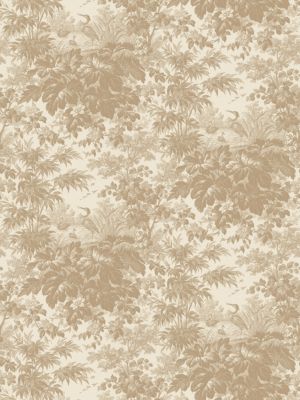 TOILE