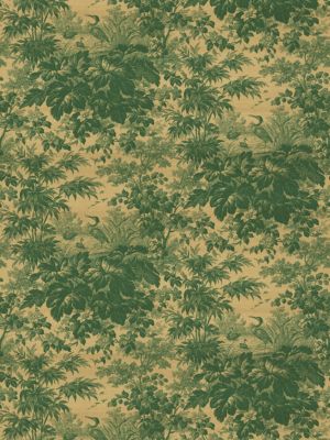 TOILE SILK