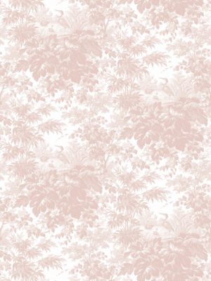 TOILE