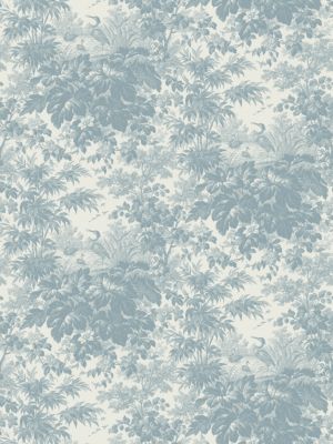 TOILE