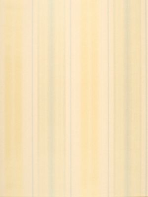 OMBRE THIEN