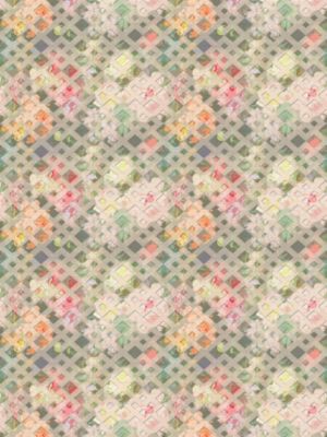 DEFOSSE TRELLIS