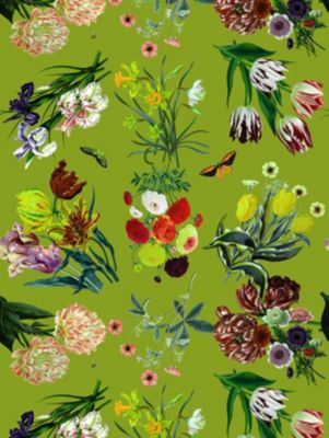 FLORA & FAUNA