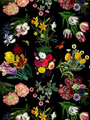 FLORA & FAUNA