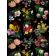 FLORA & FAUNA thumbnail
