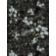 BLOSSOM FANTASIA thumbnail