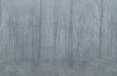SKOG - MURAL