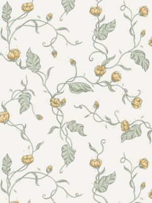 ELMIRE