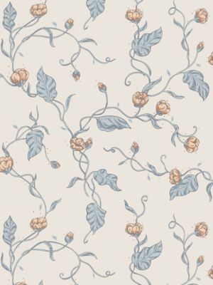ELMIRE