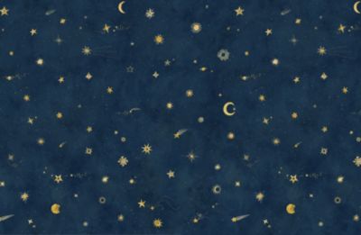 STARRY SKY - MURAL