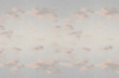 MOLN - CEILING MURAL
