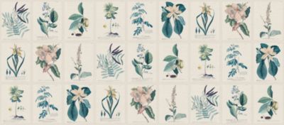 FLORA - MURAL