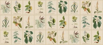 FLORA - MURAL