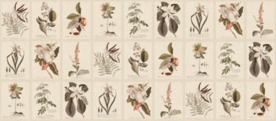 FLORA - MURAL