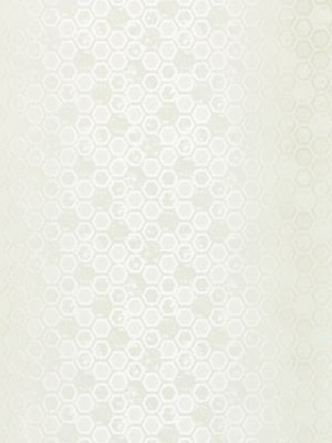 HEXAGON INSPIRATION