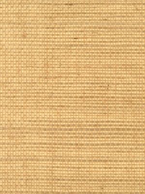 SIMPLY SISAL
