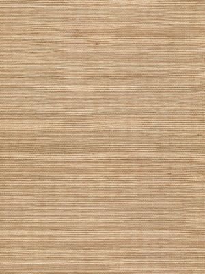 ORGANIC SISAL