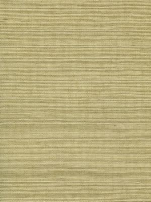 ORGANIC SISAL