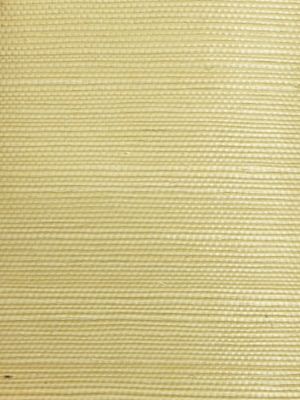 ORGANIC SISAL