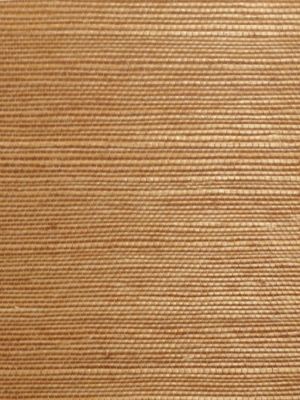 ORGANIC SISAL