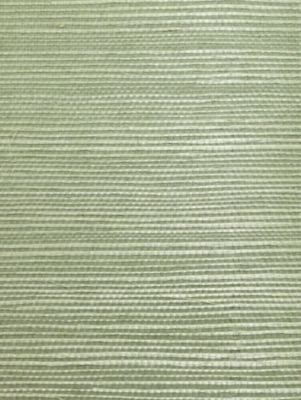 ORGANIC SISAL