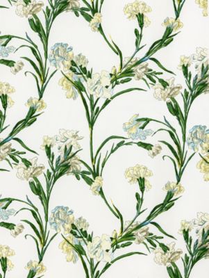 DIANTHUS