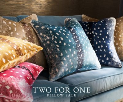 Two for One Pillow Sale