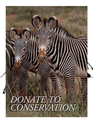 Donate to Conservation