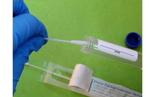 Buccal Cell Collection