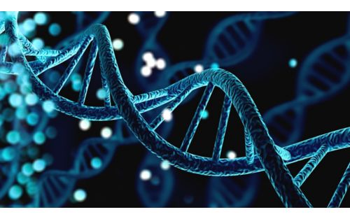 Whole Genome Data