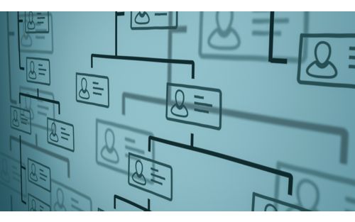 Organizational Structure