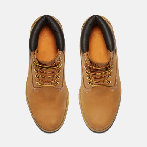 TIMBERLAND | Men's Timberland® Premium 6-Inch Waterproof Boots