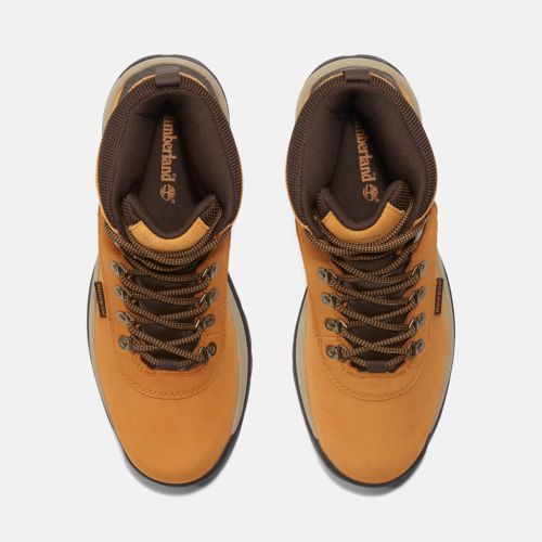 Timberland | Men's Ledge Mid Hiking Boots