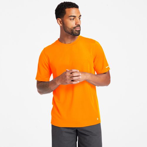 TIMBERLAND | Men's Timberland PRO® Wicking Good Short-Sleeve T-Shirt