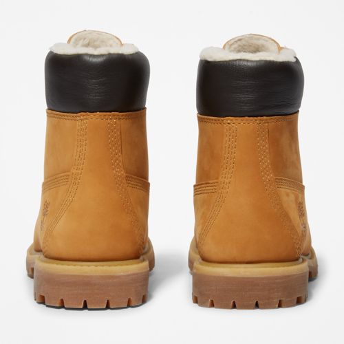 Women's Timberland® Premium 6-Inch Waterproof Warm-Lined Boots-
