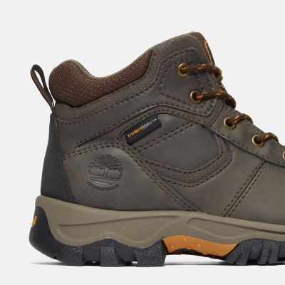 Youth Mt. Maddsen Waterproof Hiking Boots