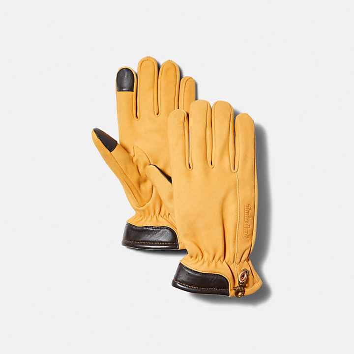 Men's Essential Gloves-
