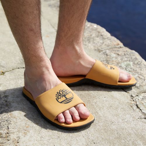 Faial luister Gietvorm Timberland | Men's Fells Slide Sandals