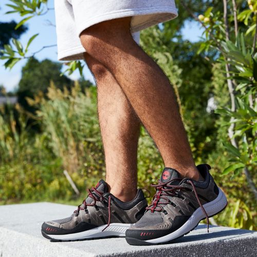 Timberland | Men's FlyRoam Trail Sneakers