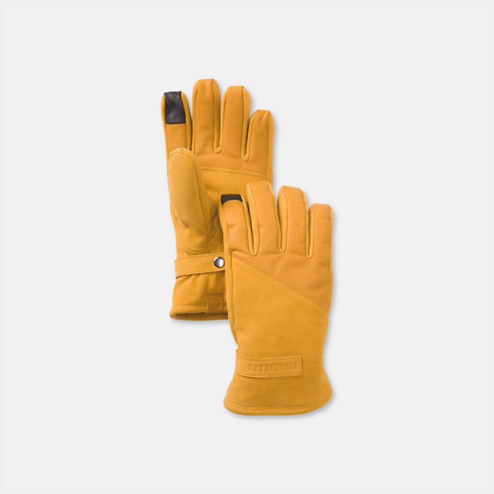 Men's Forest Brook Nubuck Gloves-