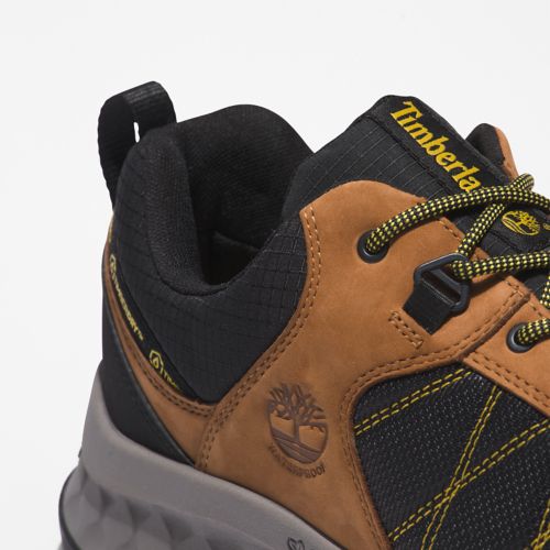 Men's Trailquest Waterproof Hiking Shoes-